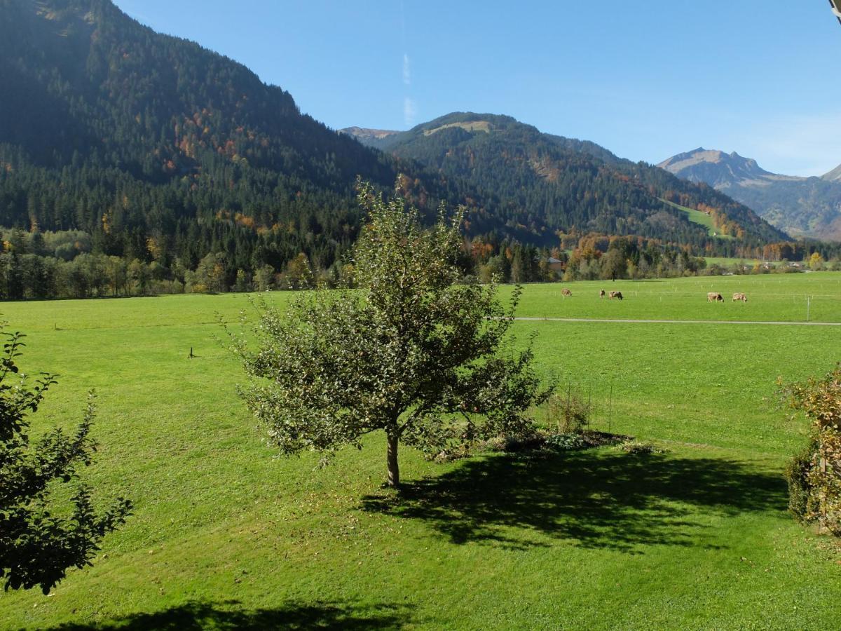 Oberhauser *